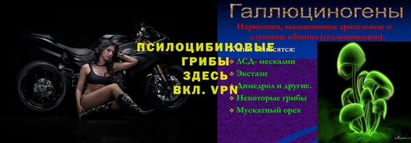 apvp Армянск
