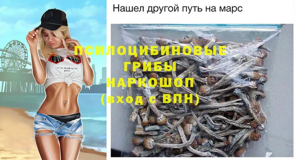 apvp Армянск