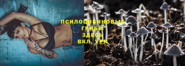 герыч Аркадак