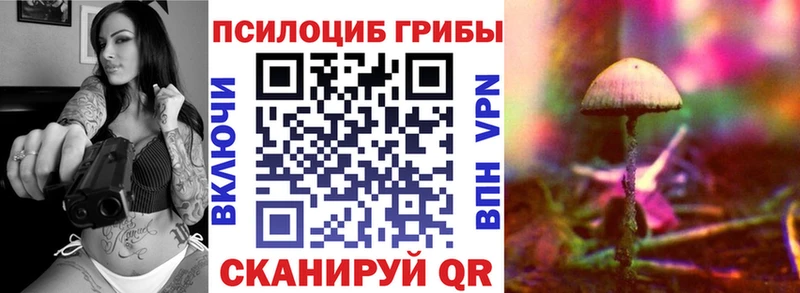 Псилоцибиновые грибы Psilocybine cubensis  Свирск 